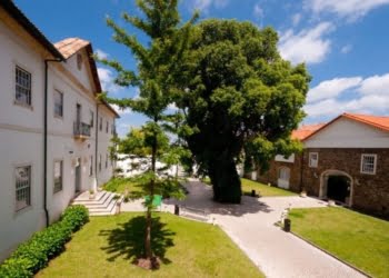 Escola Hotelaria e Turismo de Coimbra realiza quinta edição do Boarding Pass