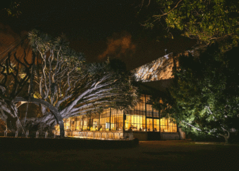 Estufa Real: Um evento memorável numa estufa do século XVIII