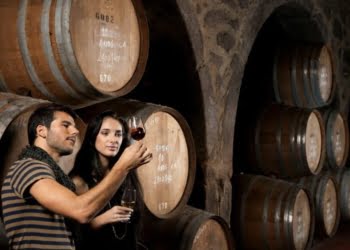 Turismo do Porto e Norte quer fazer do destino referência mundial enogastronómica