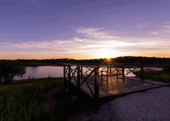 Herdade da Calada: Entre os vinhos e o calor do Alentejo