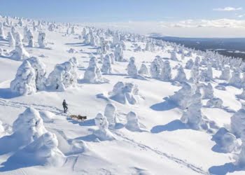 Inseltrade e Toolbox-Travel realizam workshop dedicado aos Países Nórdicos e Bálticos