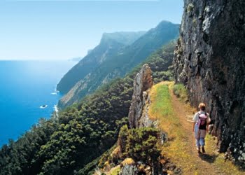 Setor turístico da Madeira “está a recuperar bem”, diz o Governo Regional