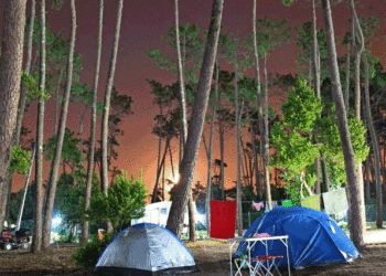 Mira Lodge Park passa a ser gerido por participada da Orbitur