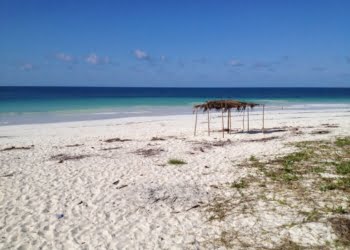 Companhia aérea africana vai operar voos domésticos em Moçambique