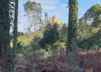 Sintra: Um lugar onde a magia ainda acontece