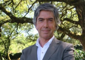 Centro de Portugal: “Temos já pensada uma campanha dirigida ao mercado interno, impactante e disruptiva”