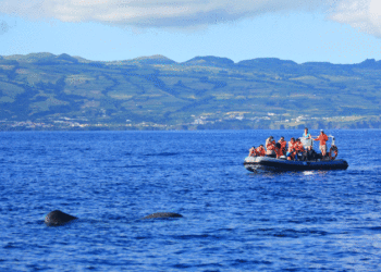 Picos de Aventura: o arranque das operações na Terceira
