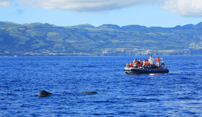 Picos de Aventura reconhecida como PME Excelência 2024 pela 1.ª vez