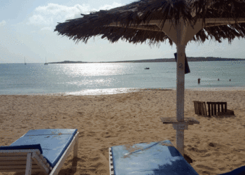 TUI Alemanha volta a voar para ilhas do Sal e da Boa Vista