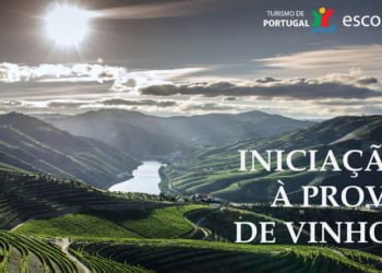 Turismo de Portugal lança curso de Iniciação à Prova de Vinhos