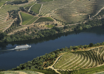 Turismo fluvial no Douro recupera 23% em 2021
