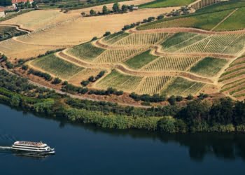 Semestre histórico no Turismo do Porto e Norte com mais de um milhão de dormidas em junho