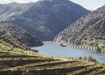 IVDP vai participar na nova Rota dos Vinhos e do Enoturismo do Porto e Norte de Portugal