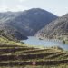 IVDP vai participar na nova Rota dos Vinhos e do Enoturismo do Porto e Norte de Portugal