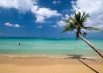 Tendências de viagens 2021: reservas de última hora, viagens locais e slow travel predominam, diz eDreams