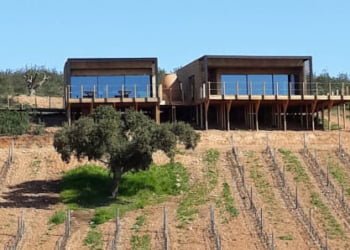 Serras do Alentejo: A Arte na vinha