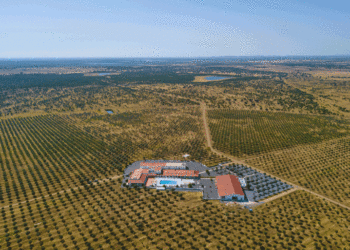 Mais de 40% das unidades de alojamento rural vão encerrar