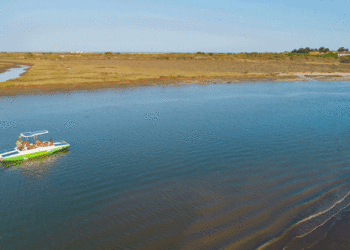 Solar Moves: Passeios ecológicos na Ria Formosa