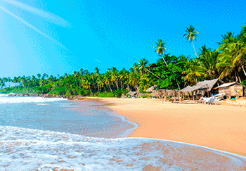 Solférias inova com novo circuito no Sri Lanka