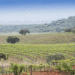 Condé Nast coloca região dos Vinhos do Alentejo no TOP 6 dos destinos vinícolas para 2020